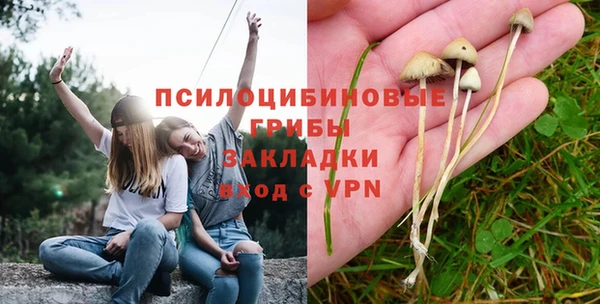 таблы Алексеевка