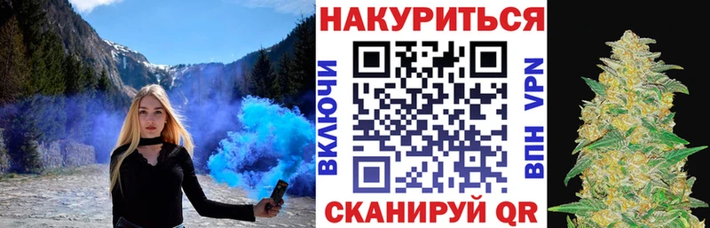 Конопля сатива  Порхов 